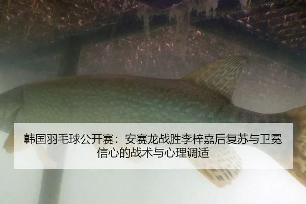 han-guo-yu-mao-qiu-gong-kai-sai-an-sai-long-zhan-sheng-li-zi-jia-hou-fu-su-yu-wei-mian-xin-xin-de-zhan-shu-yu-xin-li-2-329.jpg
